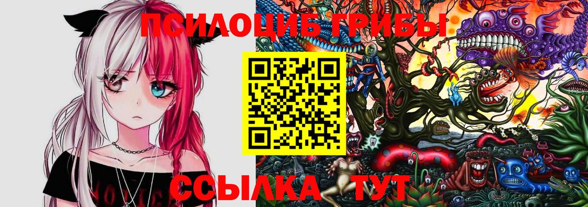 Бердск  Галлюциногенные грибы GOLDEN TEACHER  Вход с VPN 
